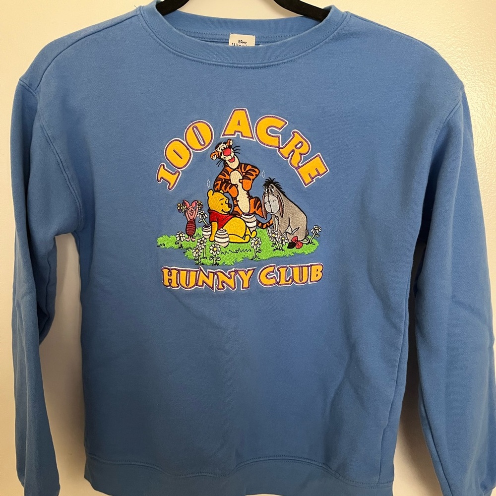 Disney Winnie the Pooh Blue Sweatshirt